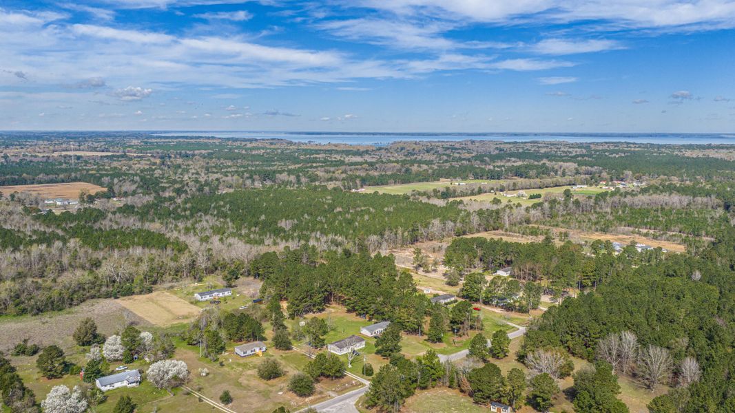 Natural landscape and outdoor views near  in Eutawville (Image 60).