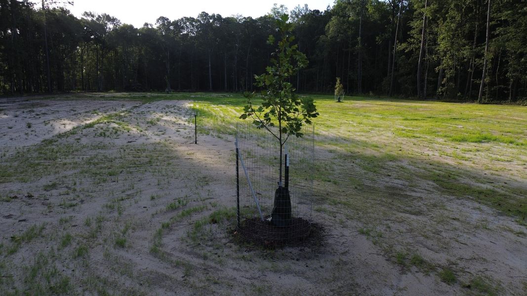 Natural landscape and outdoor views near in Ridgeville (Image 24). Natural landscape and outdoor views near in Ridgeville (Image 24).