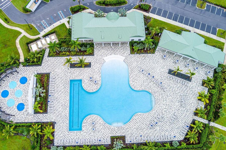 Resort Style Pool