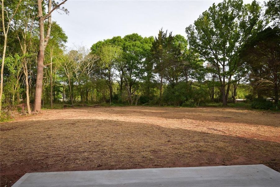 Natural landscape and outdoor views near  in Watkinsville (Image 14).
