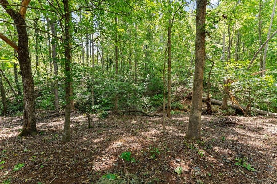 Natural landscape and outdoor views near  in Dawsonville (Image 67).