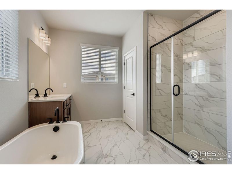 tub and standing shower