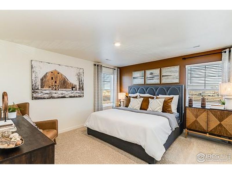 Furnished interior view inside a new home in Prairie Song, Windsor (Image 10).
