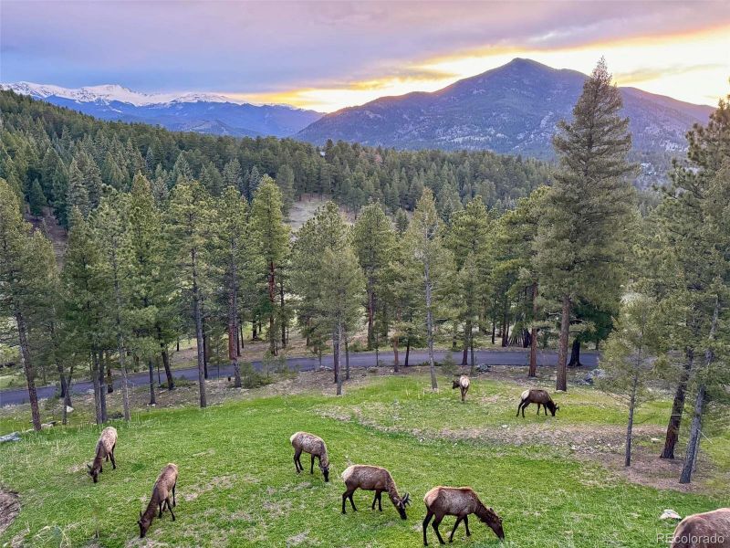 Natural landscape and outdoor views near  in Evergreen (Image 38).