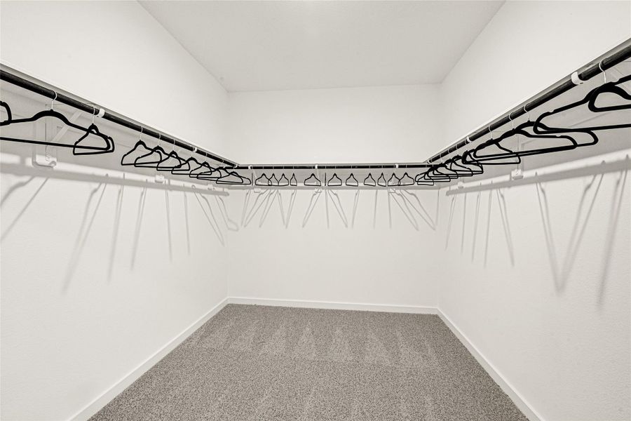 *Images and 3D tour are for illustration only and options may vary from home as built.