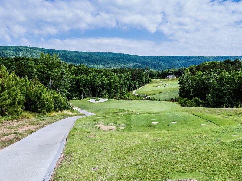 Natural landscape and outdoor views near  in Waleska (Image 34).