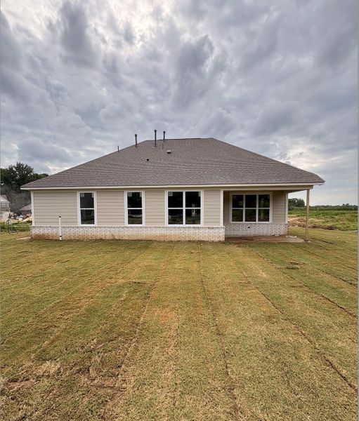 Rear exterior featuring beige horizontal siding, white brick foundation, a brown shingle roof, and multiple white-framed windows Rear exterior featuring beige horizontal siding, white brick foundation, a brown shingle roof, and multiple white-framed windows