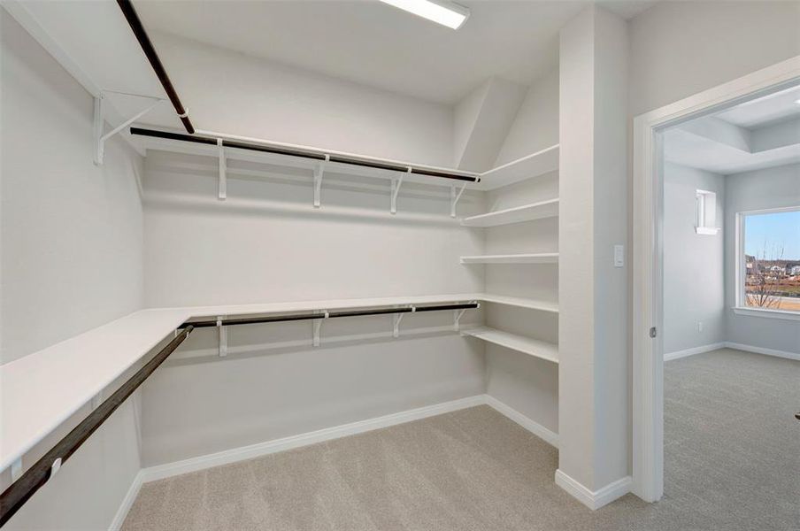 Walk in closet with light colored carpet