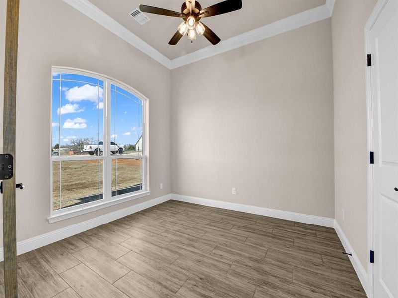 Empty room with ceiling fan, crown molding, and a wealth of natural light