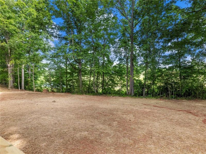 Natural landscape and outdoor views near  in Gainesville (Image 39).