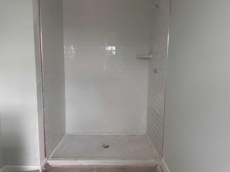 Primary Shower