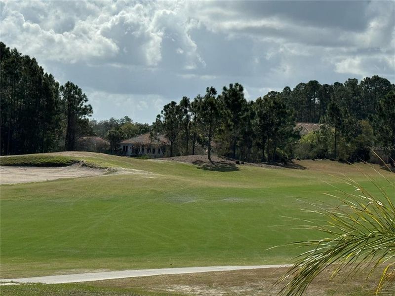 Natural landscape and outdoor views near  in New Smyrna Beach (Image 17).