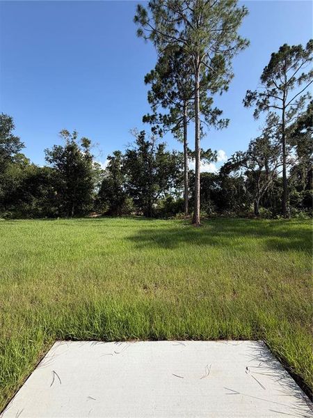 Natural landscape and outdoor views near in Lake Wales (Image 16). Natural landscape and outdoor views near in Lake Wales (Image 16).