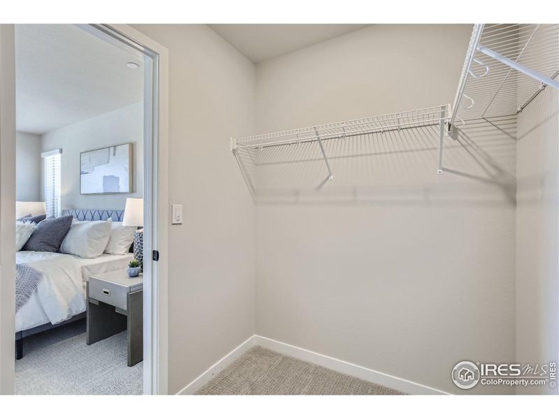 Spacious, unfurnished interior of a new home in Waterfield - Townhomes, Fort Collins (Image 18). Spacious, unfurnished interior of a new home in Waterfield - Townhomes, Fort Collins (Image 18).