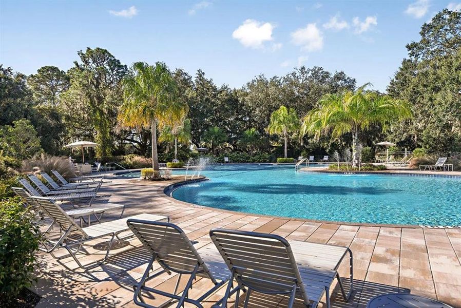 Community amenities in Summerwoods, Parrish (Image 36). Community amenities in Summerwoods, Parrish (Image 36).