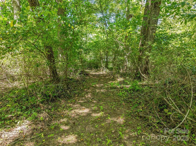 Natural landscape and outdoor views near  in Arden (Image 8).