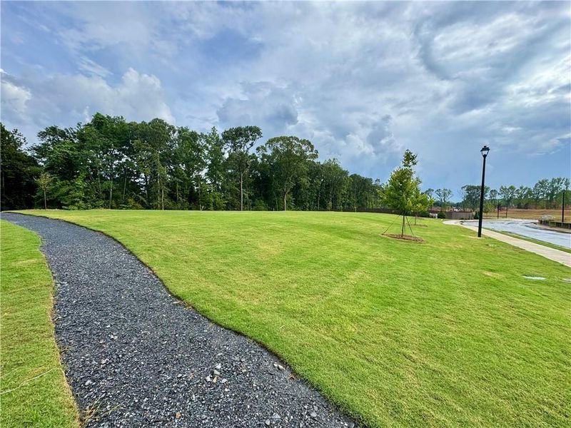 Natural landscape and outdoor views near Eastlyn Crossing in Flowery Branch (Image 16).