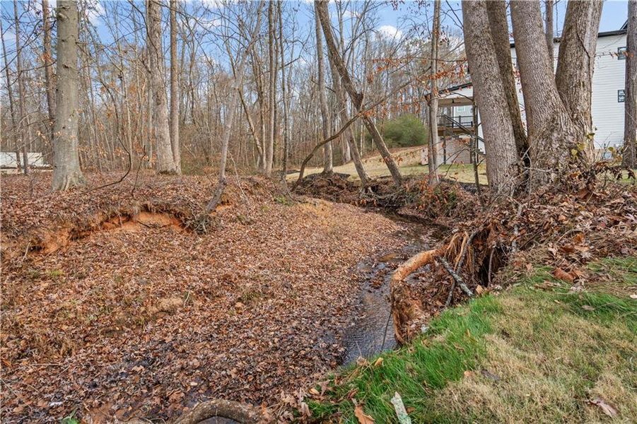 Natural landscape and outdoor views near  in Villa Rica (Image 57).