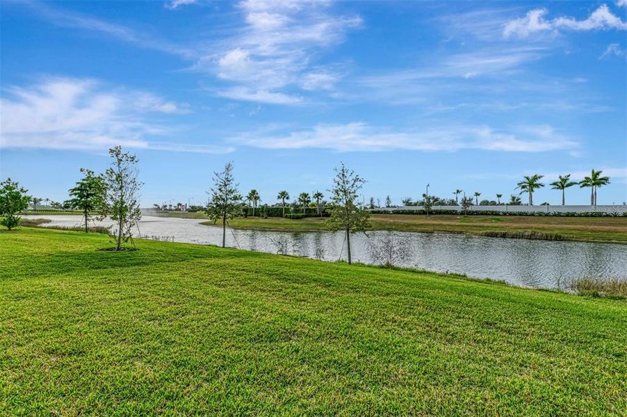 Natural landscape and outdoor views near Brightmore at Wellen Park in Venice (Image 81). Natural landscape and outdoor views near Brightmore at Wellen Park in Venice (Image 81).