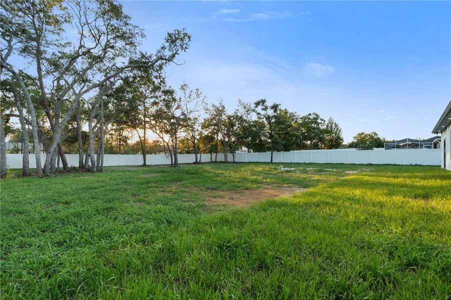 Natural landscape and outdoor views near  in Weeki Wachee (Image 58).