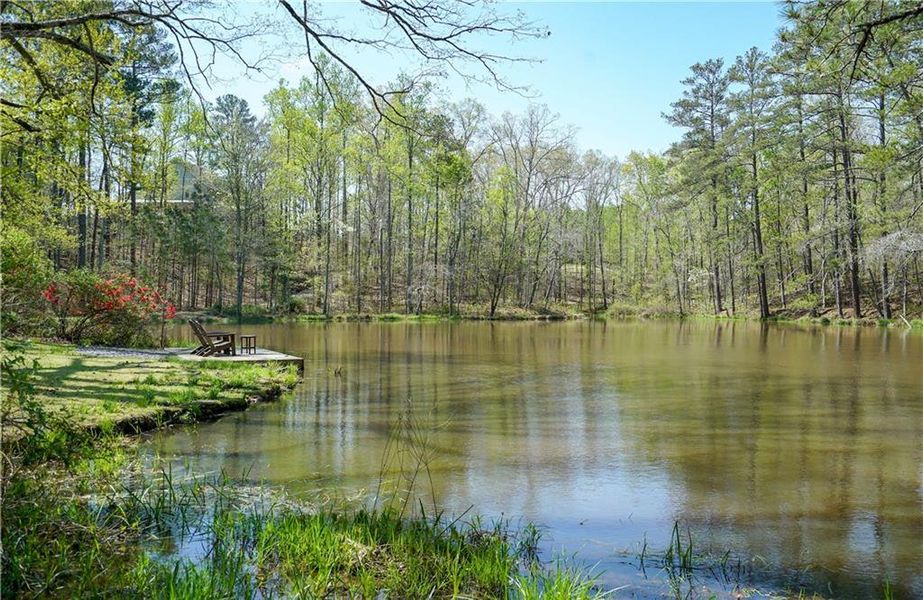Natural landscape and outdoor views near Aster in Milton (Image 44).