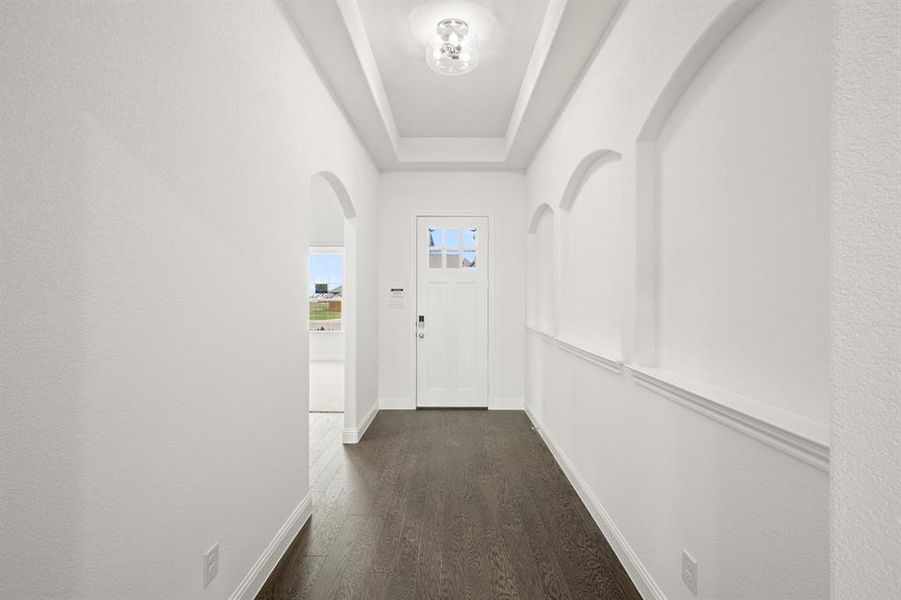 0_121 Grey wolf- Entry-1