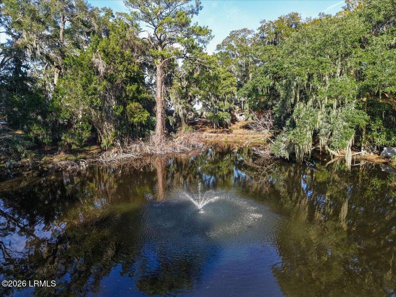 Natural landscape and outdoor views near  in Beaufort (Image 77).