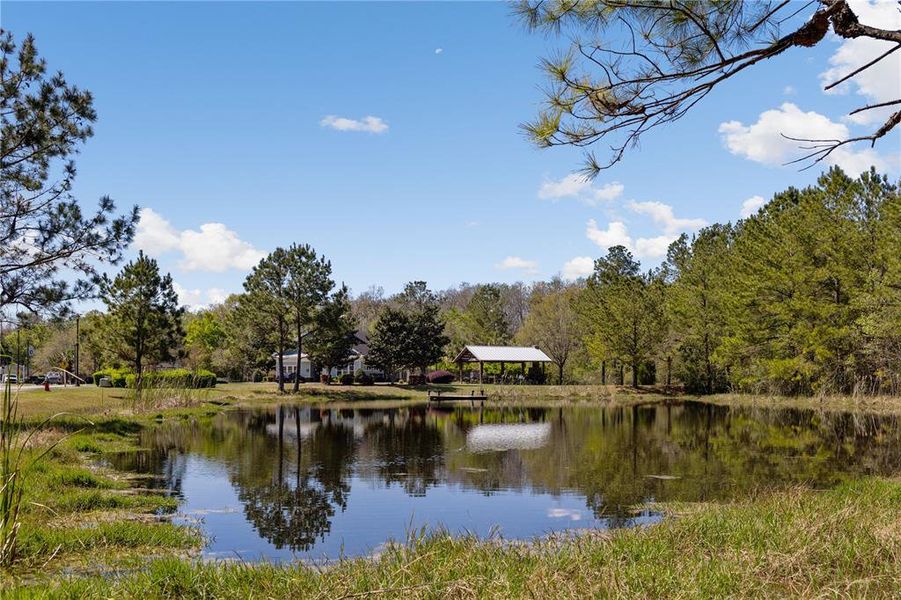 Natural landscape and outdoor views near The Preserve at Laurel Lake in Lake City (Image 12). Natural landscape and outdoor views near The Preserve at Laurel Lake in Lake City (Image 12).