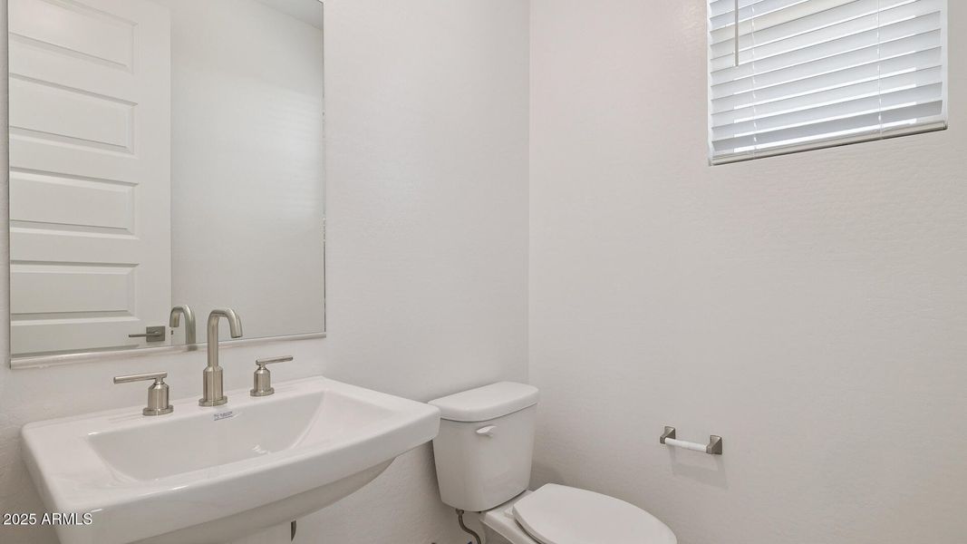 3985_Phoenician_Lot 2078_Aloravita_Peori