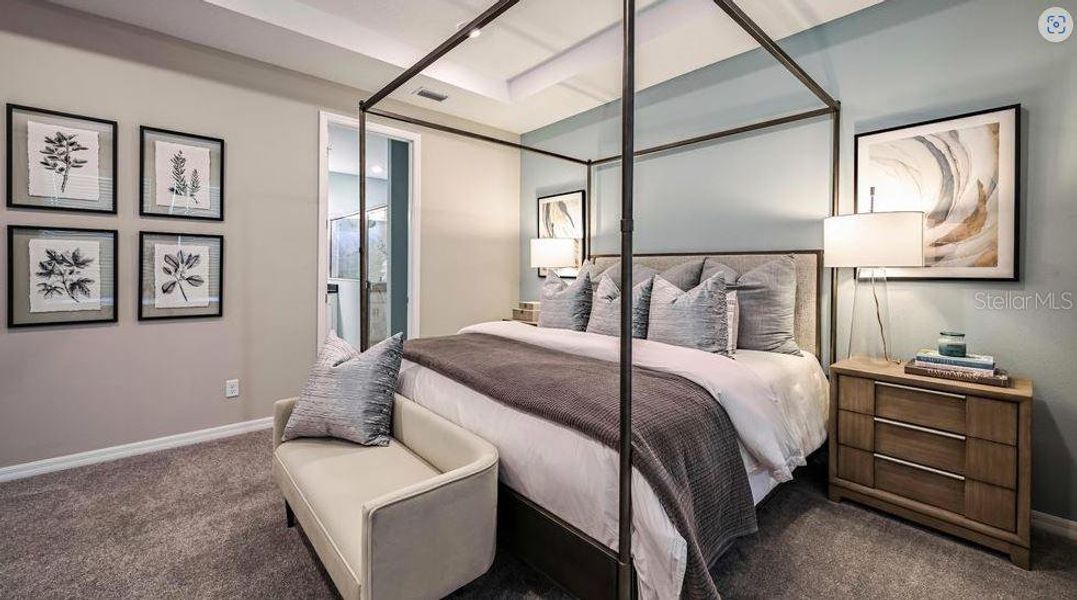 REPRESENTATIVE PHOTOS