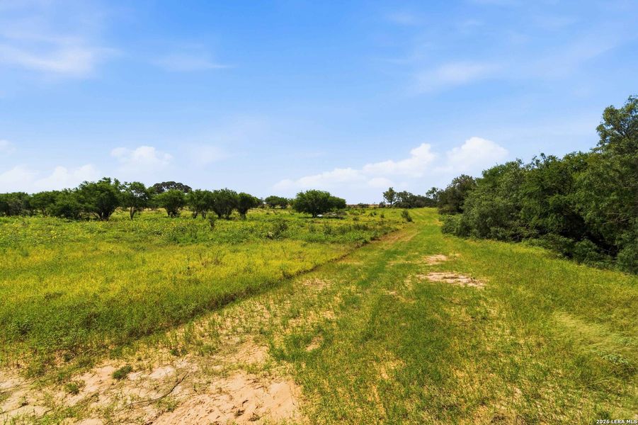 Natural landscape and outdoor views near  in Sabinal (Image 80).