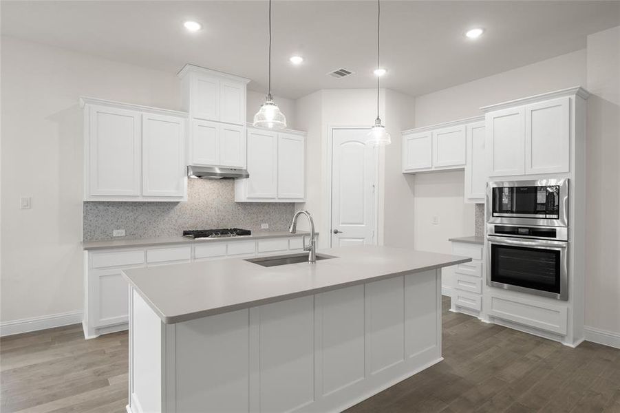 Kitchen featuring appliances with stainless steel finishes, under cabinet range hood, a sink, wood finished floors, and backsplash Kitchen featuring appliances with stainless steel finishes, under cabinet range hood, a sink, wood finished floors, and backsplash