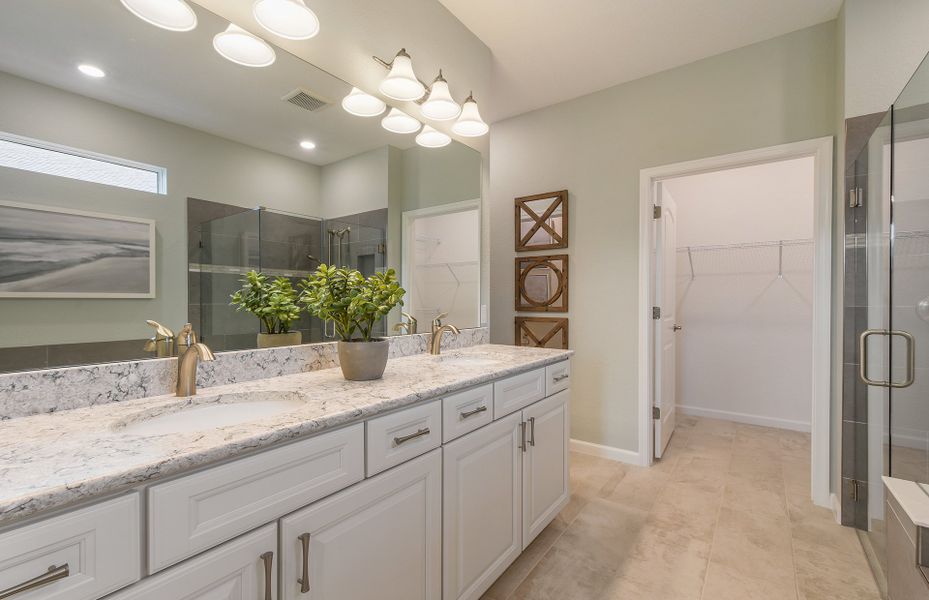 Owner's suite with double vanity