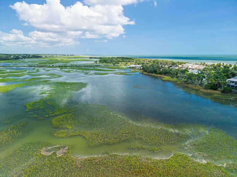Natural landscape and outdoor views near in Edisto Island (Image 71). Natural landscape and outdoor views near in Edisto Island (Image 71).
