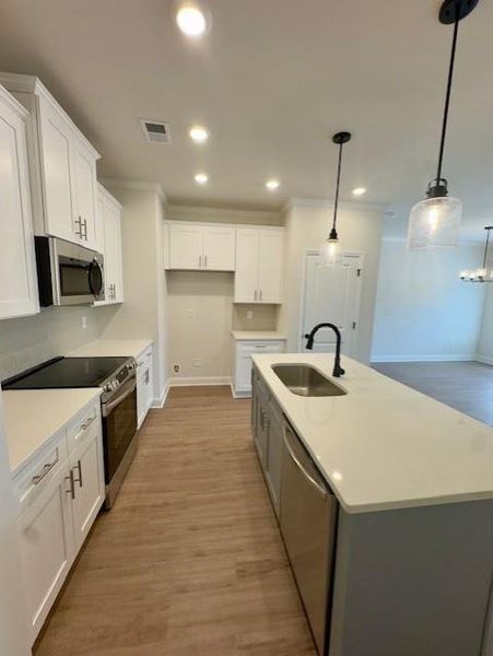 Furnished interior view inside a new home in Medlock Park, Austell (Image 31).