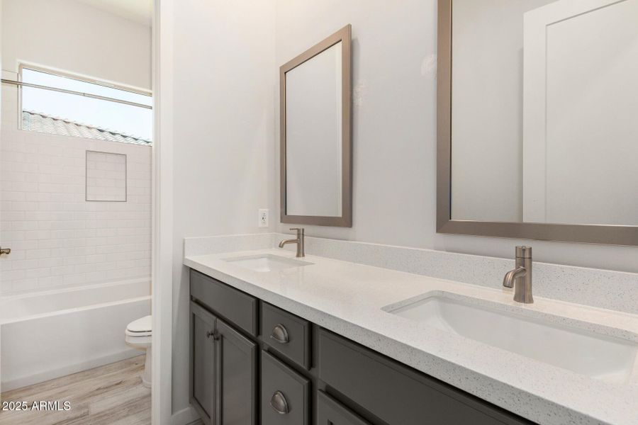 27 - Royal Palm 27 - Royal Palm