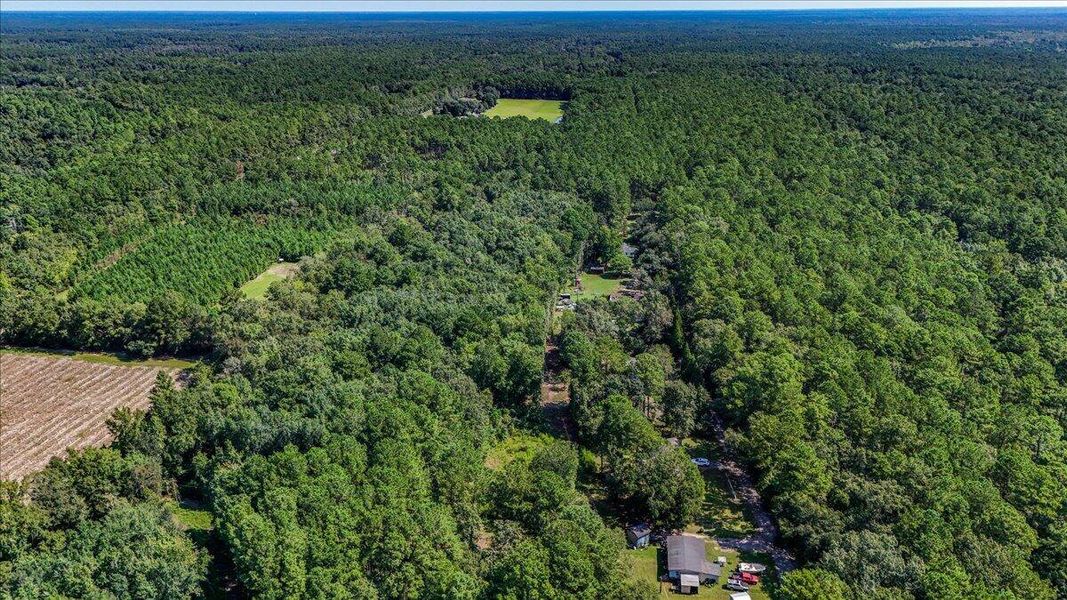 Natural landscape and outdoor views near  in Cordesville (Image 38).