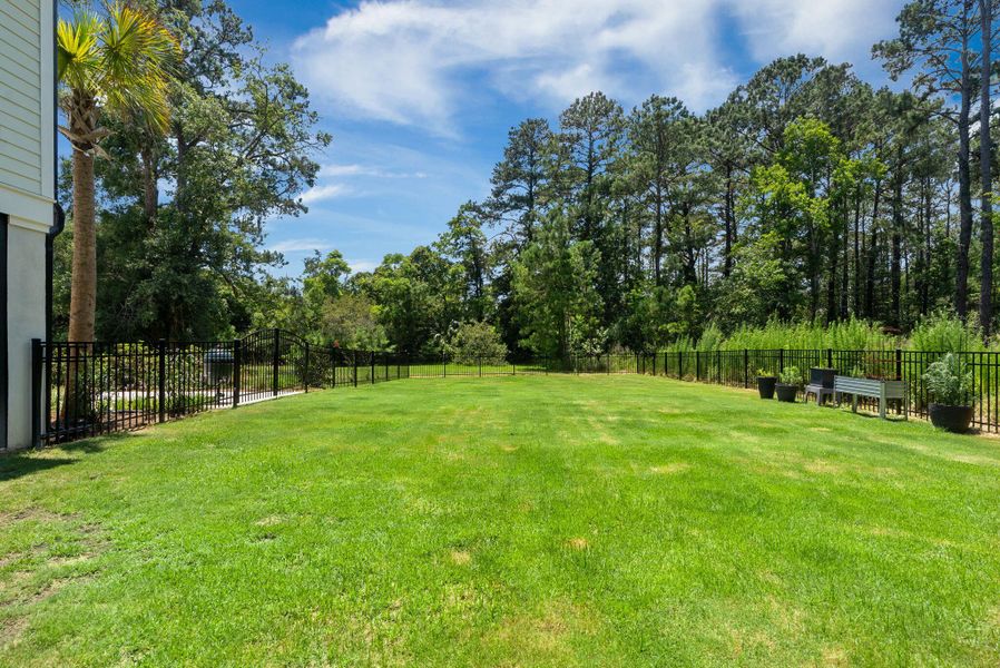 Natural landscape and outdoor views near in Johns Island (Image 50). Natural landscape and outdoor views near in Johns Island (Image 50).