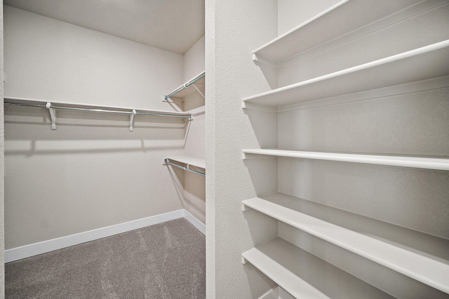 Spacious, unfurnished interior of a new home in Pony Park, Colorado Springs (Image 29).