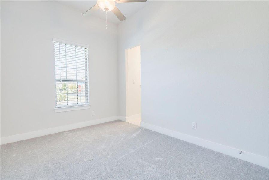 Carpeted spare room with baseboards and a ceiling fan Carpeted spare room with baseboards and a ceiling fan