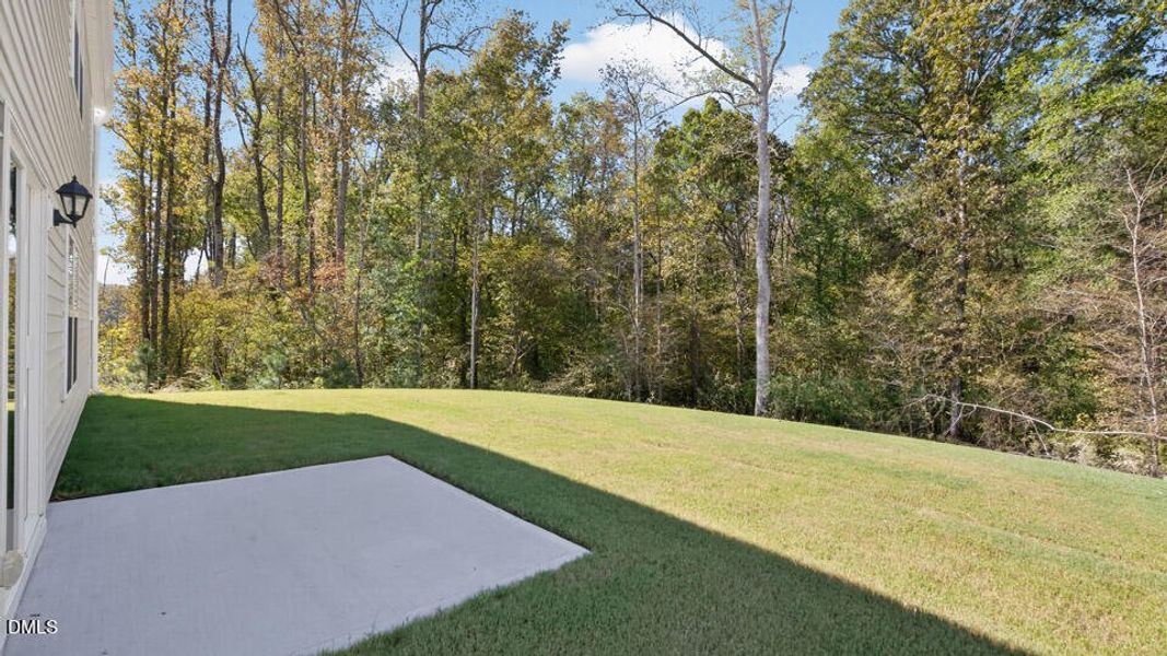 olive-branch-lot-56-004