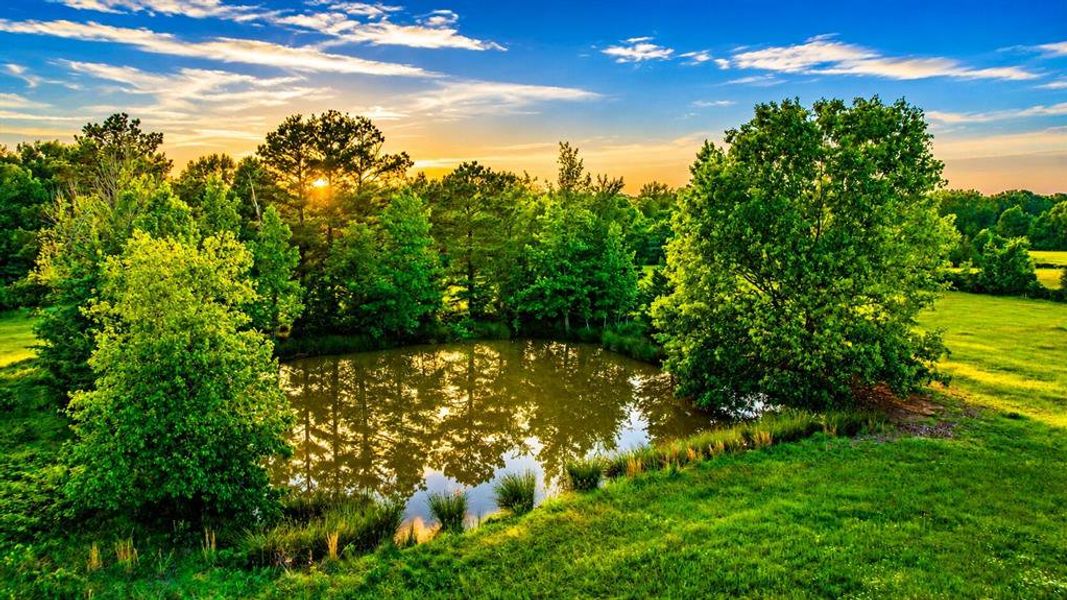 Natural landscape and outdoor views near in Clarksville (Image 26). Natural landscape and outdoor views near in Clarksville (Image 26).