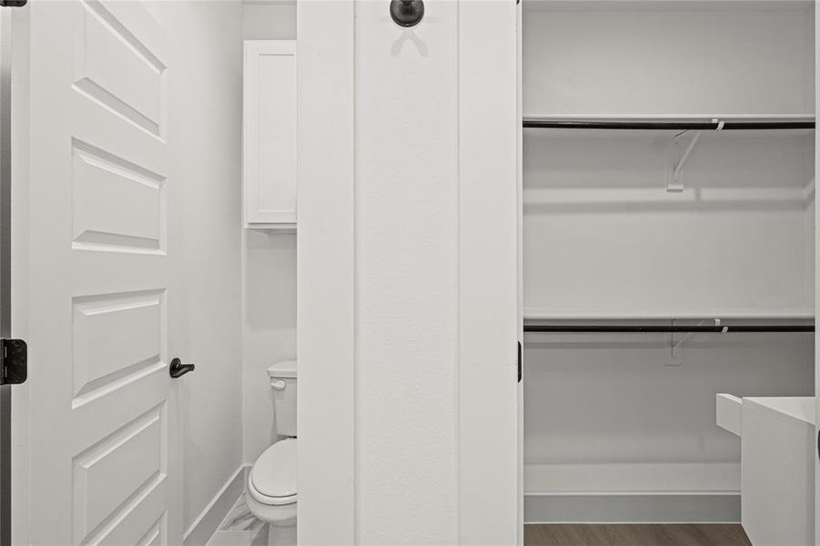 Walk in closet featuring dark hardwood / wood-style floors