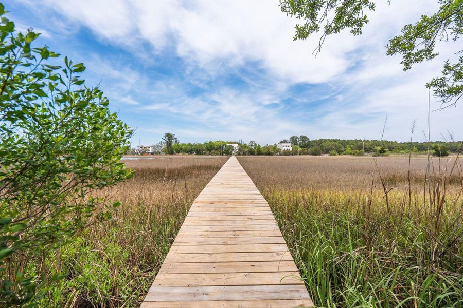 Natural landscape and outdoor views near  in Johns Island (Image 90).