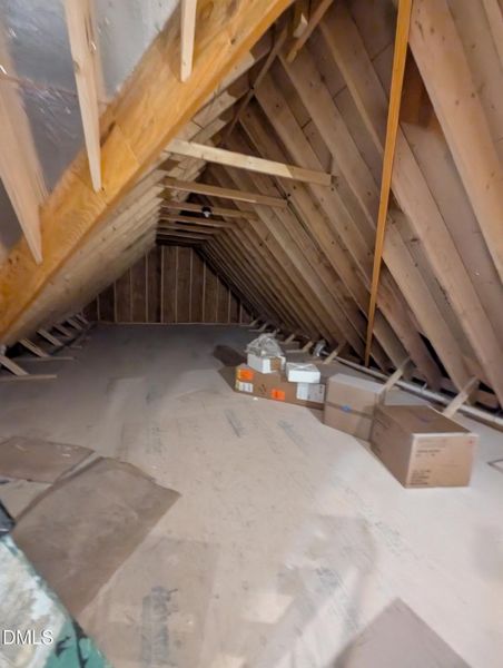 PXL_20251120_152543395.MP