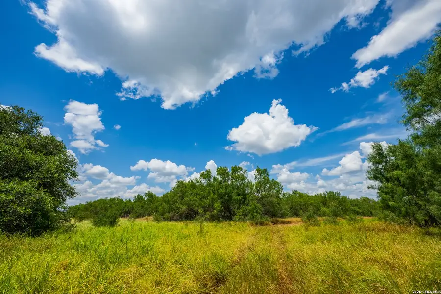 Natural landscape and outdoor views near in Crystal City (Image 19). Natural landscape and outdoor views near in Crystal City (Image 19).
