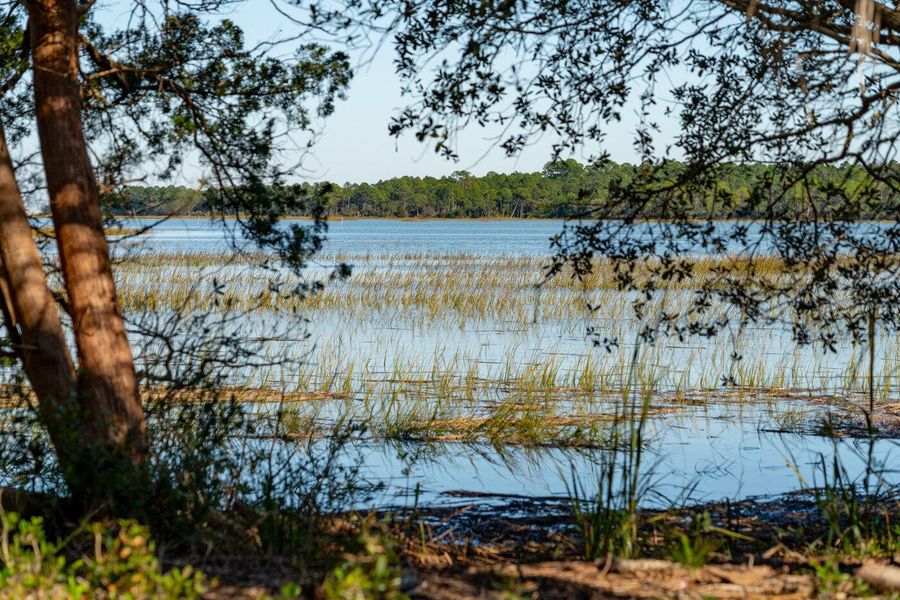 Natural landscape and outdoor views near  in Charleston (Image 93).