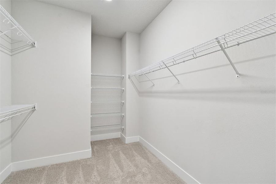 Spacious, unfurnished interior of a new home in Apex at Seminole Heights, Tampa (Image 10).