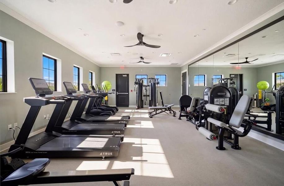 Community amenities in Prosperity Lakes, Parrish (Image 33).