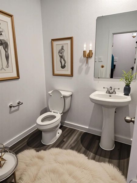 Large half bathroom. Large half bathroom.